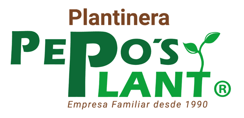 Pepo's Plant